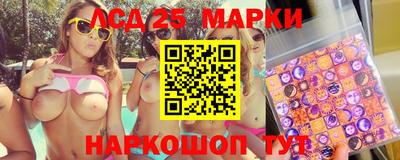 spice Кинель