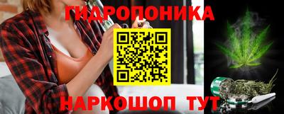 spice Кинель