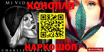 spice Кинель
