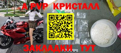 скорость Кингисепп