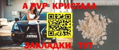 скорость Кингисепп