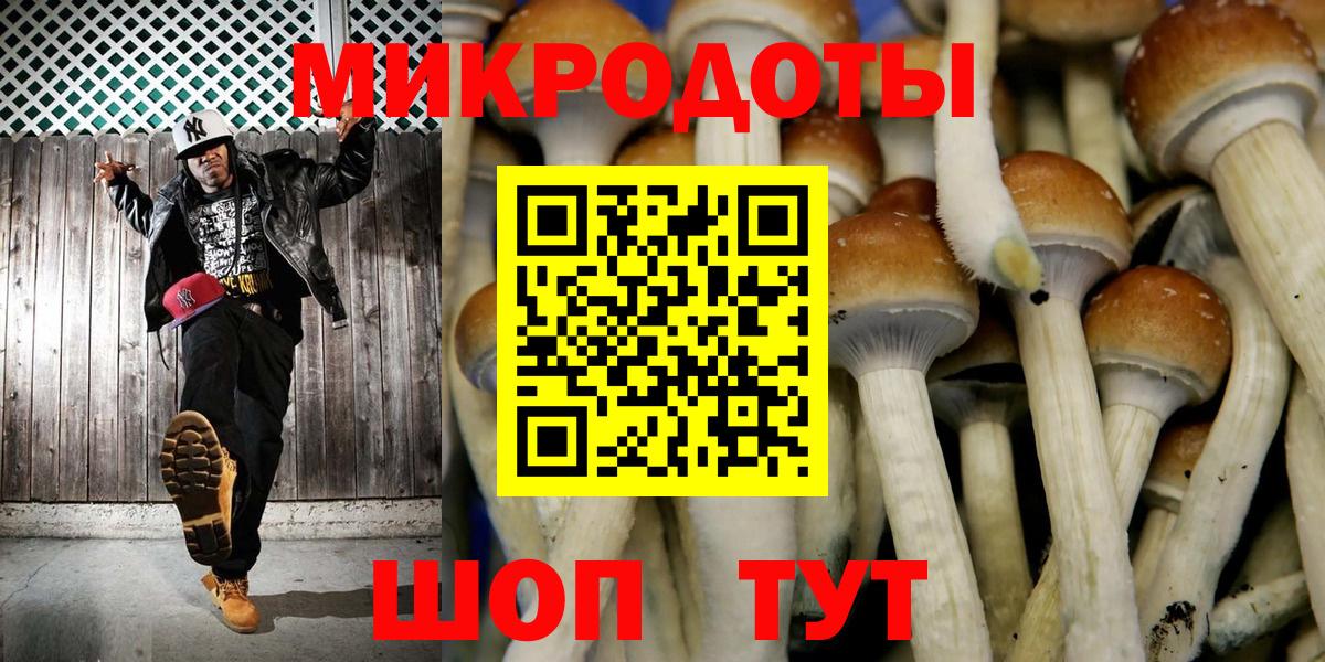 Галлюциногенные грибы GOLDEN TEACHER Качканар