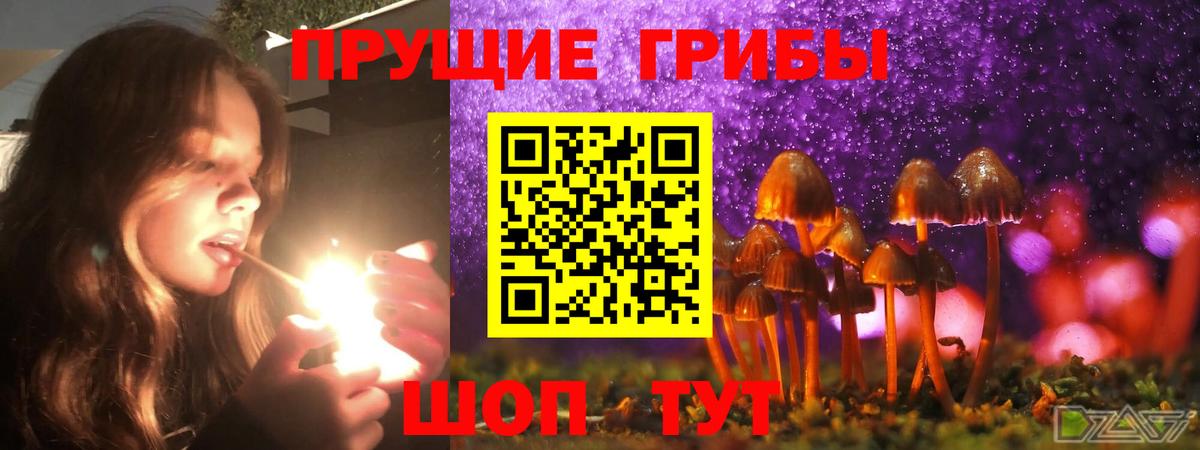 Марихуана Качканар