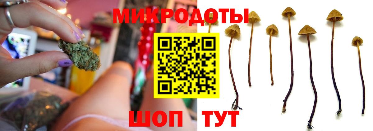 Псилоцибиновые грибы ЛСД  Вход с VPN  Качканар 
